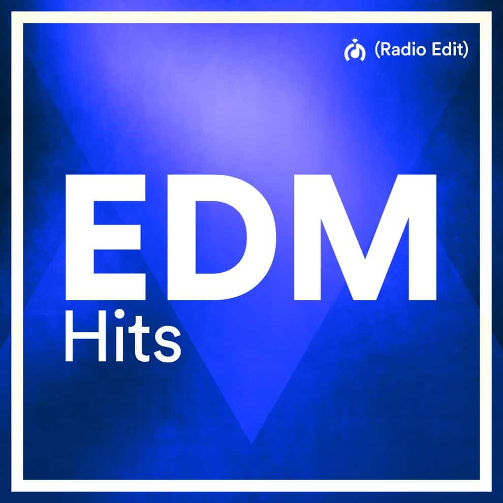 EDM Hits Top 20 - January 2024 (Radio Edit) - Wedding DJ Pool
