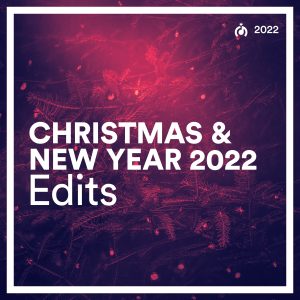 Randy Daniels Rockford Christmas Lights 2022 Wedding Dj Pool - Christmas & New Year 2022 Edits Vol. 02 (190+Edits) -  Wedding Dj Pool